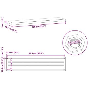 Wandregale 2 Stk. 100x23,5x3 cm Schwarz Edelstahl