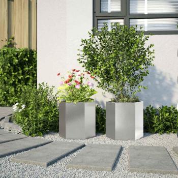 Pflanzkübel 2 Stk. Sechseckig 46x40x45 Edelstahl