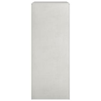 Brennholzregal 60x40x100 cm Edelstahl