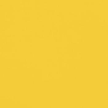 Fahrradanhänger Schwarz und Gelb 30 kg Eisen