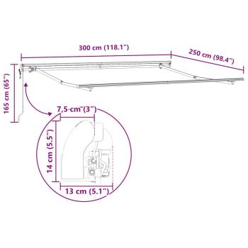 Markise Automatisch Braun 300x250 cm