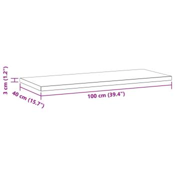 Wandregale 2 Stk. 100x40x3 cm Silbern Edelstahl