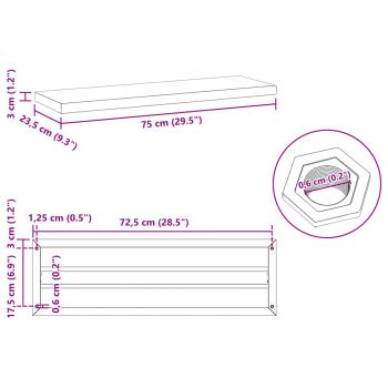 Wandregale 2 Stk. 75x23,5x3 cm Schwarz Edelstahl