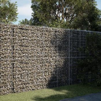 ARDEBO.de - Gabione mit Deckel 200x50x200 cm Verzinktes Eisen