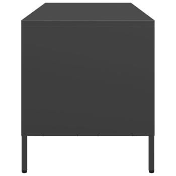 TV-Schrank Schwarz 101,5x39x43,5 cm Kaltgewalzter Stahl