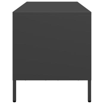 TV-Schrank Schwarz 101,5x39x43,5 cm Kaltgewalzter Stahl
