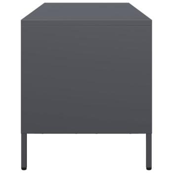 TV-Schrank Anthrazit 101,5x39x43,5 cm Kaltgewalzter Stahl