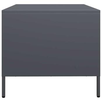 Couchtisch Anthrazit 101,5x50x43,5 cm Kaltgewalzter Stahl