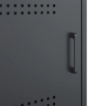 TV-Schrank Anthrazit 100,5x39x50,5 cm Stahl