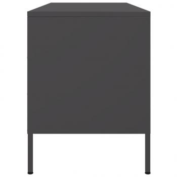 TV-Schrank Schwarz 100,5x39x50,5 cm Stahl