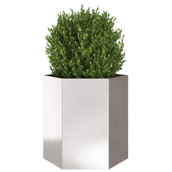 Pflanzkübel Sechseckig 46x40x45 Edelstahl