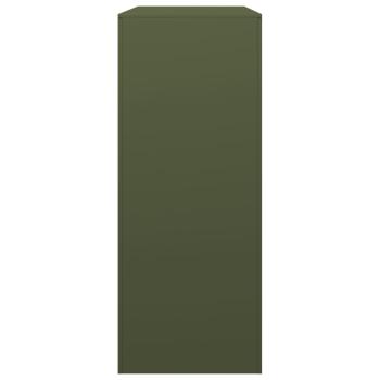 Brennholzregal Grün 100x40x100 cm Stahl