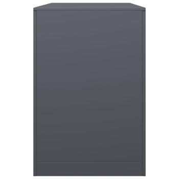 Brennholzregal Anthrazit 100x40x60 cm Stahl