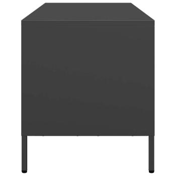 TV-Schrank Schwarz 101,5x39x43,5 cm Kaltgewalzter Stahl