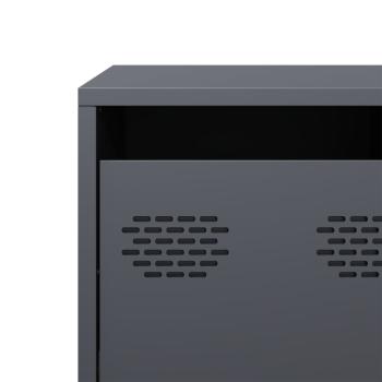 TV-Schrank Anthrazit 101,5x39x43,5 cm Kaltgewalzter Stahl