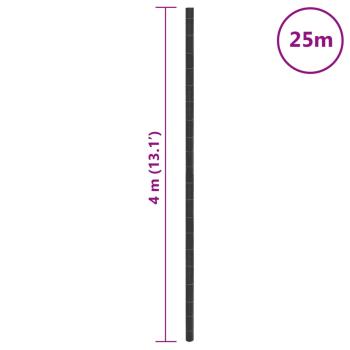Unkrautvlies Schwarz 4x25 m PP