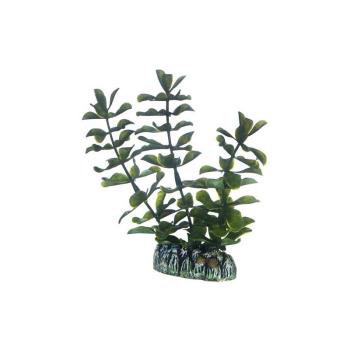 ARDEBO.de Dohse HOBBY Bacopa 13 cm