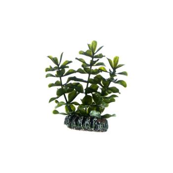 ARDEBO.de Dohse HOBBY Bacopa 7 cm