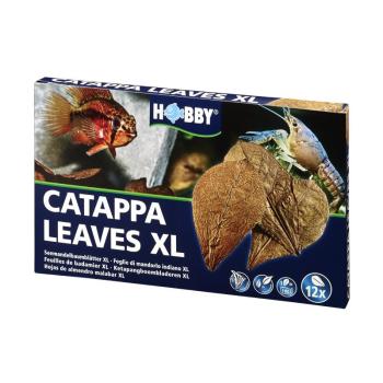 ARDEBO.de Dohse HOBBY Catappa Leaves XL  12 Stück
