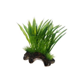 ARDEBO.de Dohse HOBBY Flora Root 1 Small 17 cm