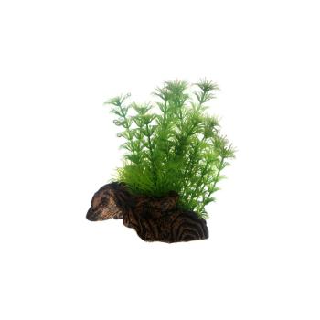 ARDEBO.de Dohse HOBBY Flora Root 3 Small 17 cm