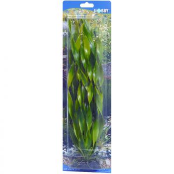 ARDEBO.de Dohse HOBBY Vallisneria 34 cm SB