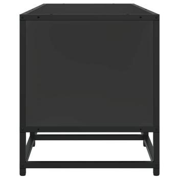 TV-Schrank Schwarz 120x35x41 cm Holzwerkstoff und Metall