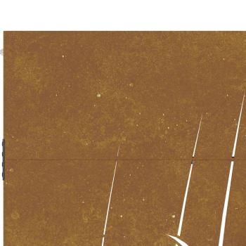 Gartentor 85x175 cm Cortenstahl Gras-Design