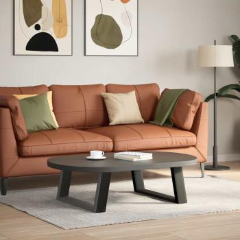 Couchtischbeine U-Form 2 Stk. Anthrazit 70x(30-31) cm Stahl