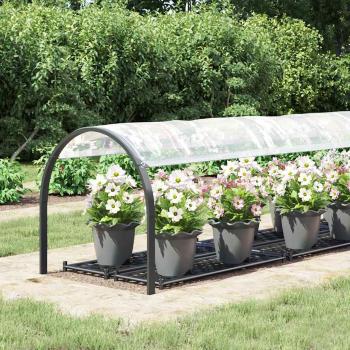 Transparente Plane mit Ösen 1x5 m Polyethylen