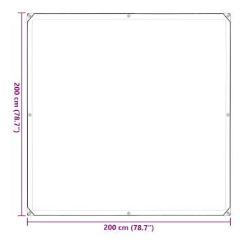 Transparente Plane mit Ösen 2x2 m Polyethylen