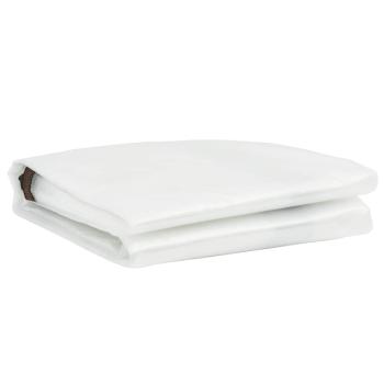 Transparente Plane mit Ösen 2x3 m Polyethylen