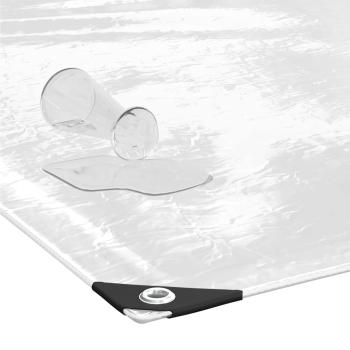 Transparente Plane mit Ösen 1x2 m PVC