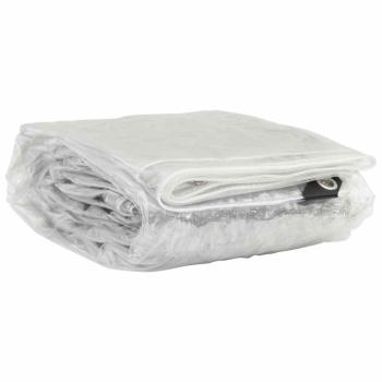 ARDEBO.de - Transparente Plane mit Ösen 2x6 m PVC