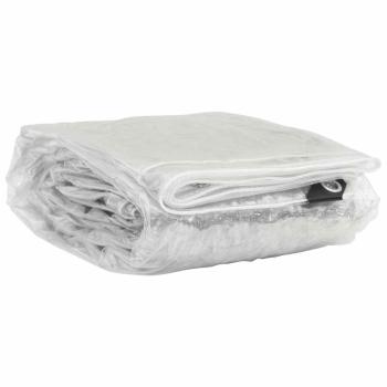 Transparente Plane mit Ösen 4x8 m PVC
