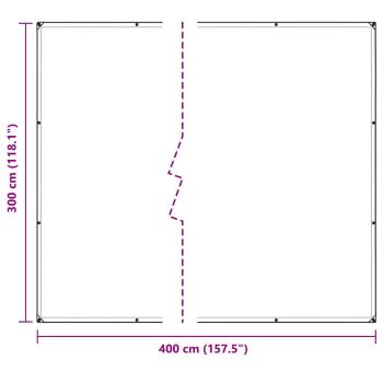 ARDEBO.de - Transparente Plane mit Ösen 3x4 m PVC