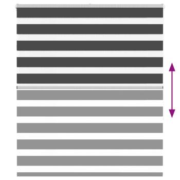 Doppelrollo Schwarz 130x150 cm Stoffbreite 125,9 cm Polyester