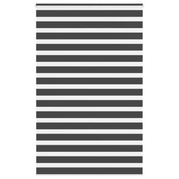 Doppelrollo Schwarz 150x230 cm Stoffbreite 145,9 cm Polyester