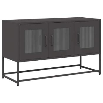TV-Schrank Schwarz 100,5x39x60,5 cm Kaltgewalzter Stahl