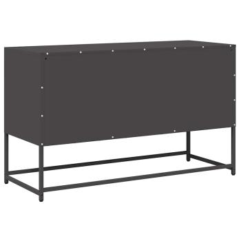 TV-Schrank Schwarz 100,5x39x60,5 cm Kaltgewalzter Stahl