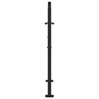 Gartentor Schwarz 100x100 cm Stahl Trace Design