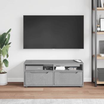 TV-Schrank VISNES Betongrau 100x40x38 cm Holzwerkstoff