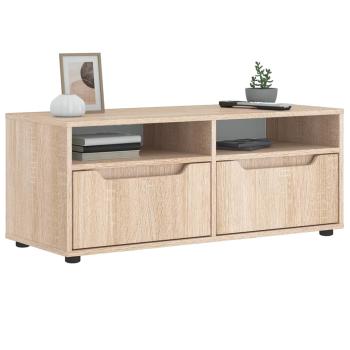 ARDEBO.de - TV-Schrank VISNES Sonoma-Eiche 100x40x38 cm Holzwerkstoff