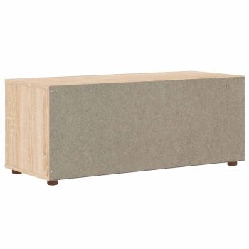 TV-Schrank VISNES Sonoma-Eiche 100x40x38 cm Holzwerkstoff