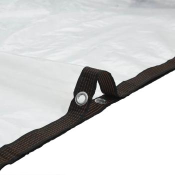 Transparente Plane mit Ösen 1x3 m Polyethylen