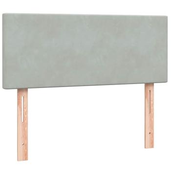 Boxspringbett mit Matratze Hellgrau 120x220 cm Samt