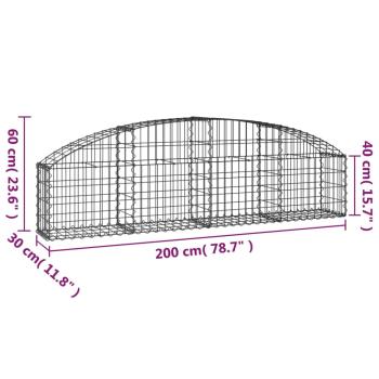 Gabione mit Hochbogen 200x30x40/60 cm Verzinktes Eisen