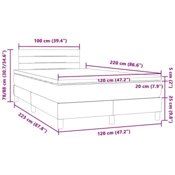 Boxspringbett mit Matratze Schwarz 120x220 cm Samt