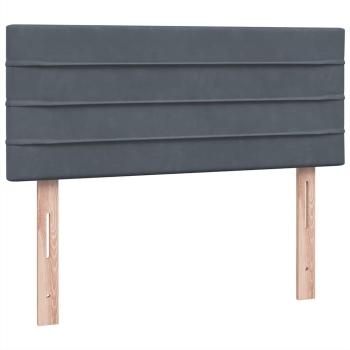 Boxspringbett mit Matratze Dunkelgrau 120x220 cm Samt