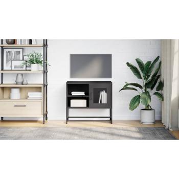 TV-Schrank Schwarz 68x39x60,5 cm Stahl